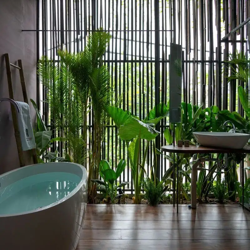 Phong cách Tropical