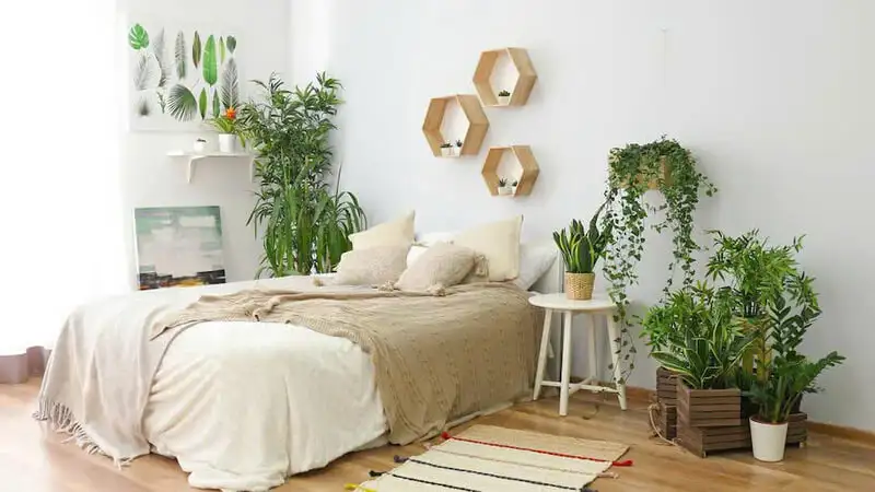 Vật dụng trong phòng ngủ