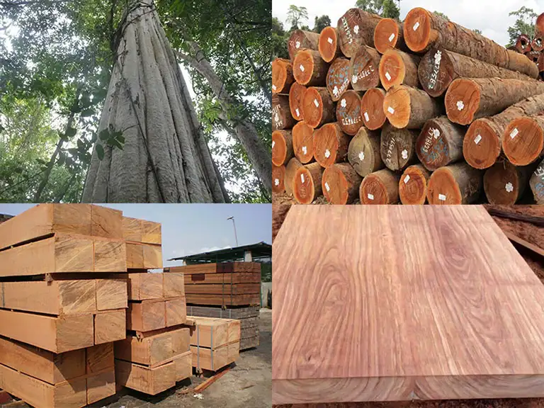 Gỗ công nghiệp
